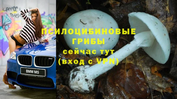 COCAINE Медвежьегорск