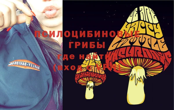 дмт Медногорск