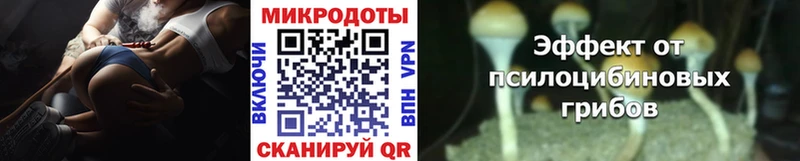Галлюциногенные грибы MAGIC MUSHROOMS  что такое наркотик  Палласовка 